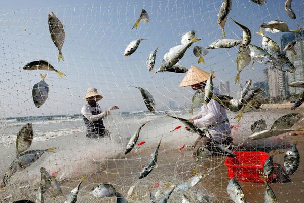 Pescadores pegam peixe em praia na cidade vietnamita de Da Nang durante a pandemia de COVID-19 - Sputnik Brasil