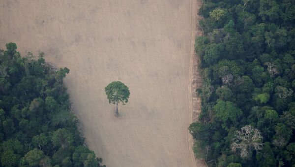 Vista aérea mostra uma parcela desmatada da Amazônia perto de Porto Velho, Rondônia, Brasil (foto de arquivo) - Sputnik Brasil