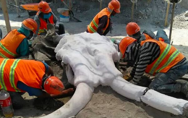 Ossadas de mamute descobertas durante trabalhos de construção do novo aeroporto da Cidade do México  - Sputnik Brasil
