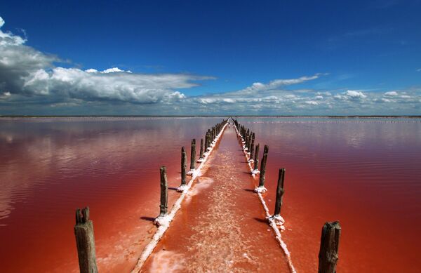Lago salgado Sasyk-Sivash na Crimeia, Rússia - Sputnik Brasil