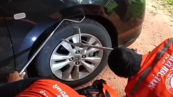 Cobra-rei dá trabalho para ser retirada de pneu na Tailândia - Sputnik Brasil