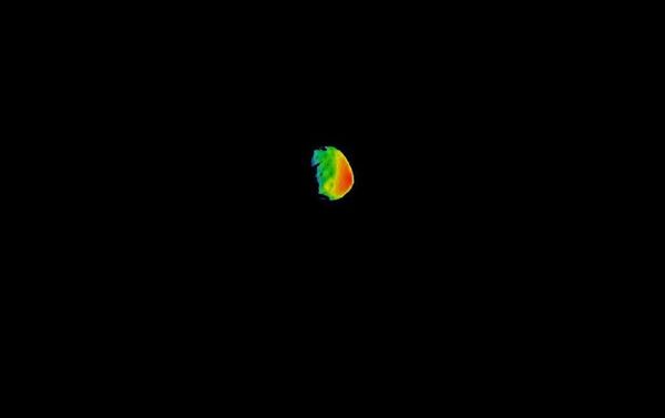 Primeira visão do satélite Fobos de Marte captada pelo THEMIS - Sputnik Brasil