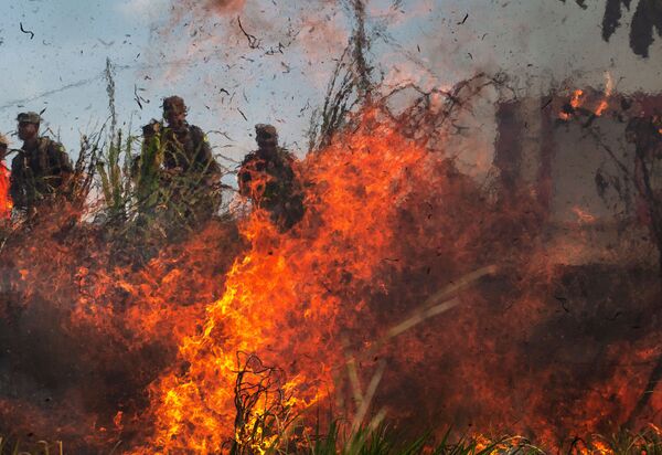 Fundos de US$ 3,7 trilhões alertam Bolsonaro e pedem reuniões para tratar da destruição da Amazônia Fundos de US$ 3,7 trilhões alertam Bolsonaro e pedem reuniões para tratar da destruição da Amazônia - Sputnik Brasil