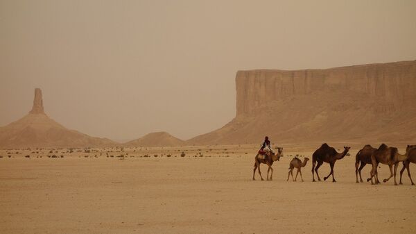 Caravana de camelos no deserto da Arábia Saudita (imagem ilustrativa) - Sputnik Brasil