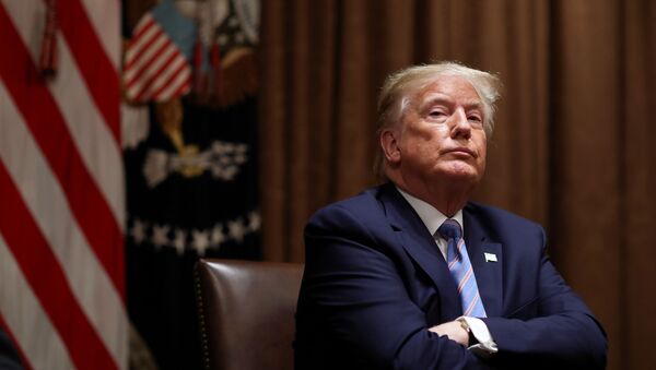 Presidente dos EUA, Donald Trump, na sala do gabinete da Casa Branca em Washington, EUA, 15 de junho de 2020 - Sputnik Brasil