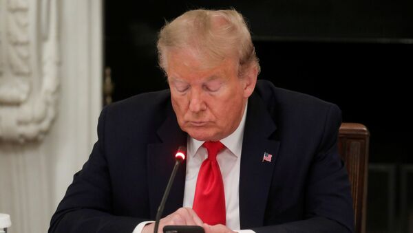 Presidente dos EUA, Donald Trump, usa celular durante reunião na Casa Branca, em Washington, EUA, 18 de junho de 2020 - Sputnik Brasil
