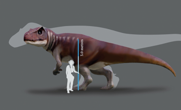 Dinossauro gigante inédito é descoberto na Austrália