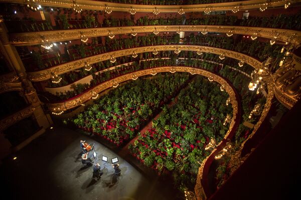 Em 22 de junho, orquestra ensaia no Gran Teatre del Liceu, na cidade espanhola de Barcelona - Sputnik Brasil