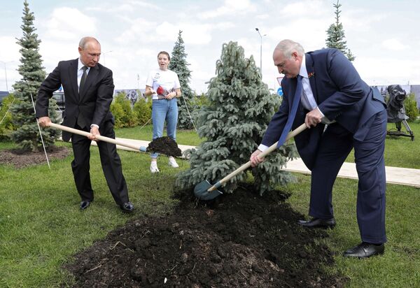 Presidente russo Vladimir Putin e líder bielorrusso Aleksandr Lukashenko plantam abeto azul na cerimônia de abertura do memorial ao Soldado Soviético na cidade de Rzhev - Sputnik Brasil