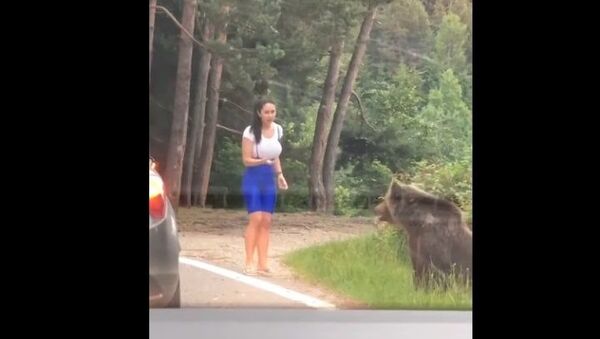 Mulher escapa de virar refeição de urso na Romênia - Sputnik Brasil