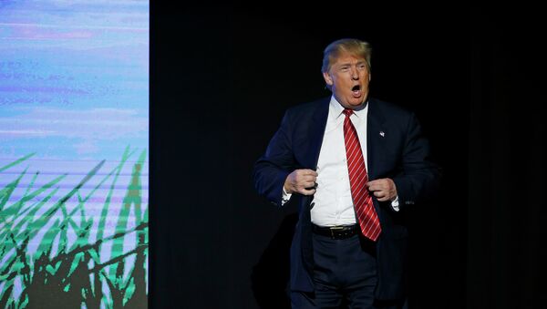 Presidenciável republicano Donald Trump apresentando-se na Freedom Fest no sábado (11 de julho de 2015) em Las Vegas. - Sputnik Brasil