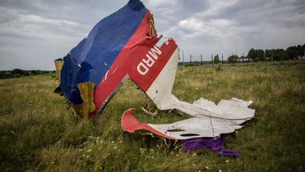 Destroços do Boeing-777 em Donetsk, no leste da Ucrânia - Sputnik Brasil