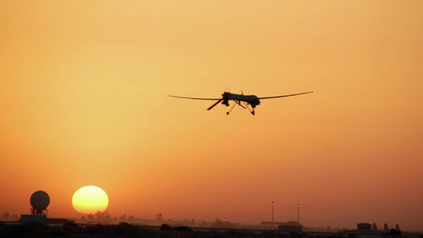 Predator, veículo aéreo não tripulado utilizado pelas Forças Armadas dos Estados Unidos - Sputnik Brasil