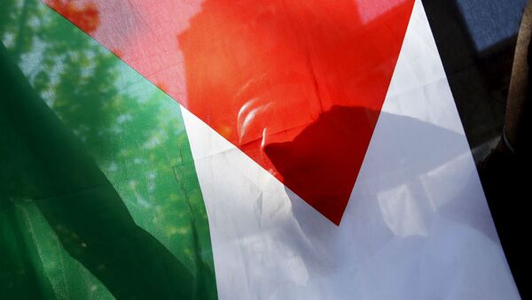 Bandeira da Palestina - Sputnik Brasil