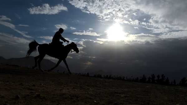 Homem afegão vai de cavalo - Sputnik Brasil