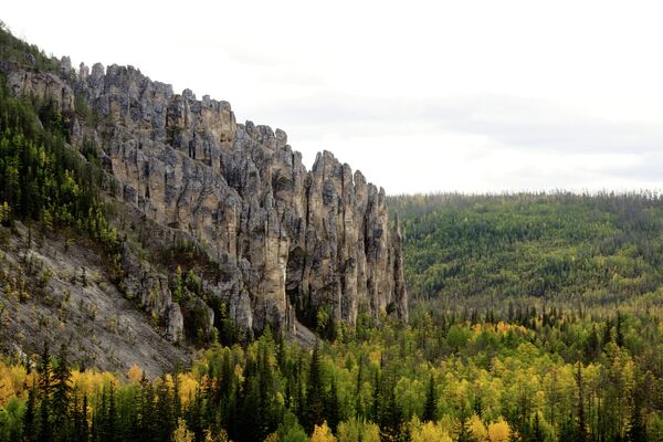 Os Pilares do Lena são uma formação rochosa natural nas margens do rio Lena, na Sibéria, Rússia. Os pilares têm entre 150 e 300 metros de altura e foram formados durante o Período Cambriano. O local é acessível a menos de um dia de barco a partir da cidade de Yakutsk, Rússia. - Sputnik Brasil