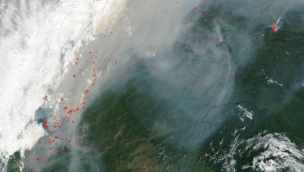 Foto de satélite da NASA indica locais de incêndios florestais na Sibéria - Sputnik Brasil