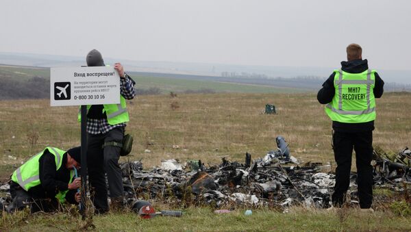 Investigadores internacionais trabalham no lugar do acidente do voo MH17 - Sputnik Brasil