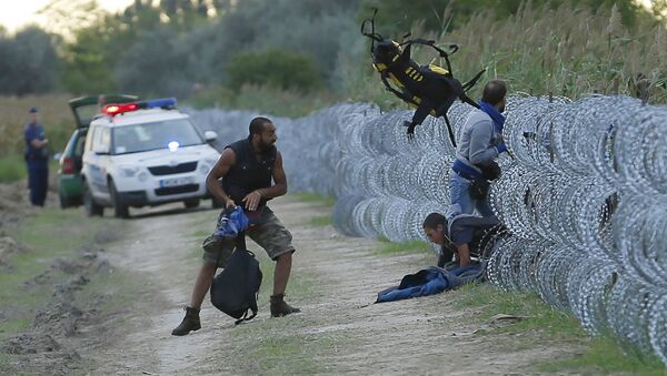 Migrantes sérvios tentam atravessar ilegalmente a fronteira com a Hungria perto da cidade de Roszke, em  26 de agosto de 2015 - Sputnik Brasil