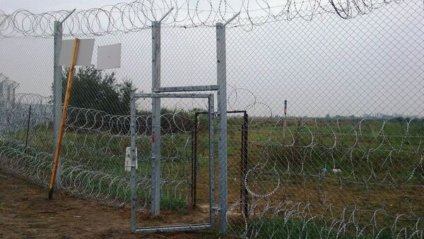 Cerca de arame farpado erguida na fronteira entre Sérvia e Hungria - Sputnik Brasil