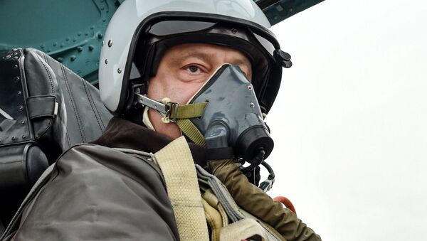 Pyotr Poroshenko em cockpit do Su-27 - Sputnik Brasil