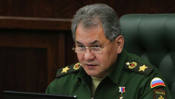Ministro da Defesa russo Sergei Shoigu - Sputnik Brasil