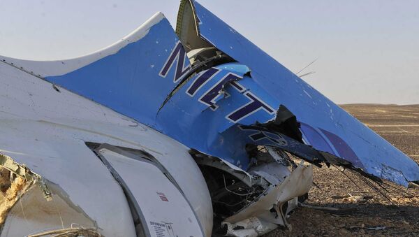 A foto tirada pelos oficiais do primeiro-ministro mostra uma parte na aeronave caida em Hassana, Egito na sábado, 31 de outubro, 2015 - Sputnik Brasil