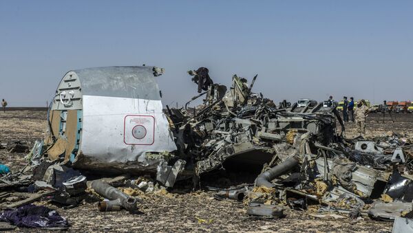 Uma parte dos destroços do A321 da russa Kogalymavia (Metrojet) no local da queda - Sputnik Brasil