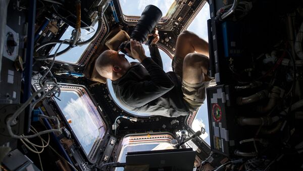 Um astronauta ao tirar foto da Terra da EEI - Sputnik Brasil
