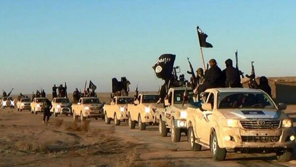 Militantes do Daesh (Estado Islâmico) em comboio rumo ao Iraque - Sputnik Brasil
