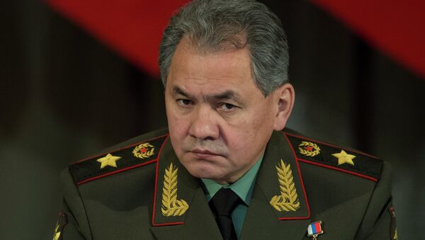 Ministro da Defesa da Rússia, Sergei Shoigu - Sputnik Brasil