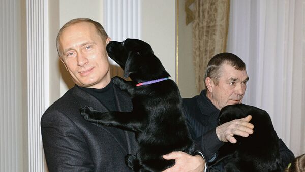 Russian President Vladimir Putin presented a 11-year-old schoolgirl from Kursk Anna Abramova with a Labrador puppy - Sputnik Brasil