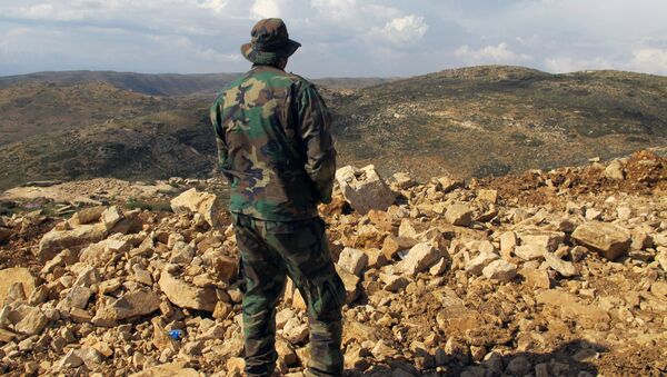 Hezbollah fighter looks toward Syria while standing in the fields of the Lebanese border village of Brital, Lebanon. (File) - Sputnik Brasil