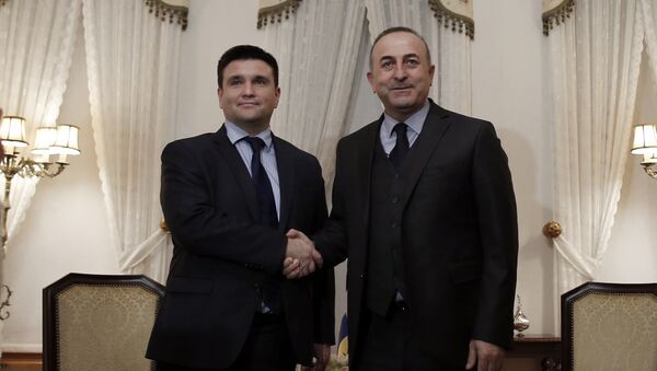 Os chanceleres da Ucrânia, Pavel Klimkin (esquerda), e da Turquia, Mevlut Cavusoglu (direita) antes do encontro privado em Istambul, em 29 de janeiro de 2016 - Sputnik Brasil