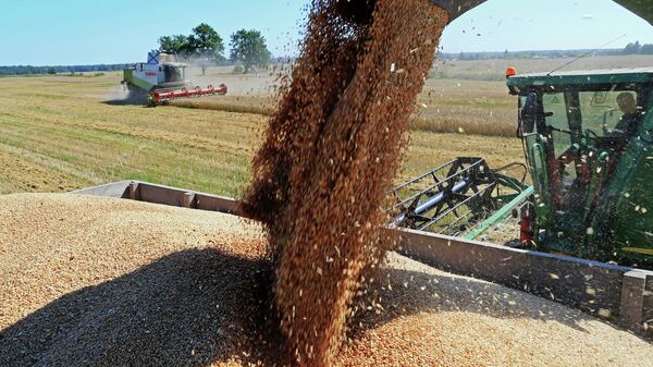 Wheat harvest in Russia's Kaliningrad Region. Exports of food now outstrip weapons, according to Gazeta.ru - Sputnik Brasil