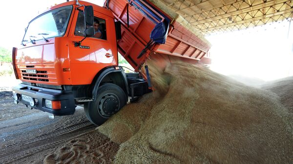 Colheita de trigo na região de Rostov, na Rússia. - Sputnik Brasil
