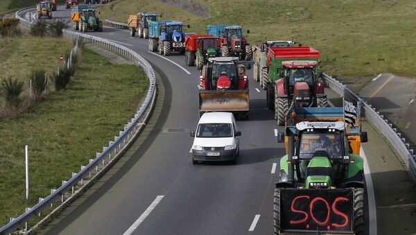 French livestock farmers arrive by tractor in Rennes, France, to protest falling prices February 17, 2016 - Sputnik Brasil