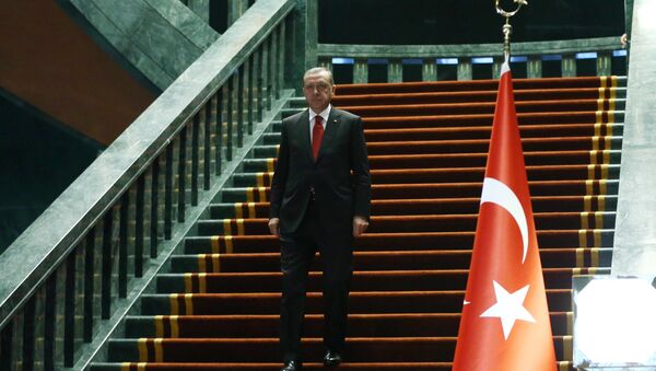 Presidente da Turquia Recep Tayyip Erdogan antes do encontro com o presidente do Afeganistão no conjunto de edifícios presidenciais, Ancara, Turquia, 24 de dezembro de 2015 - Sputnik Brasil