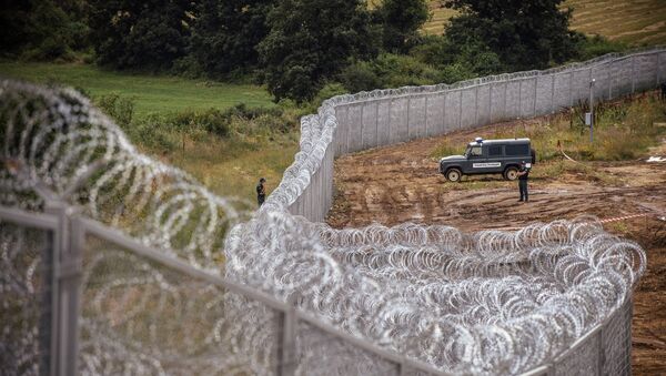 Muro de fronteira - Sputnik Brasil