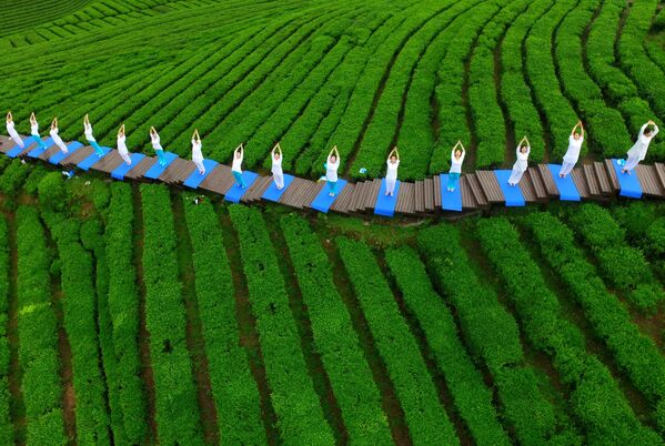 As pessoas executam yoga em um parque da cultura do chá para promover o chá lá, na cidade de Enshi, na província de Hubei (China), 24 de abril de 2016 - Sputnik Brasil