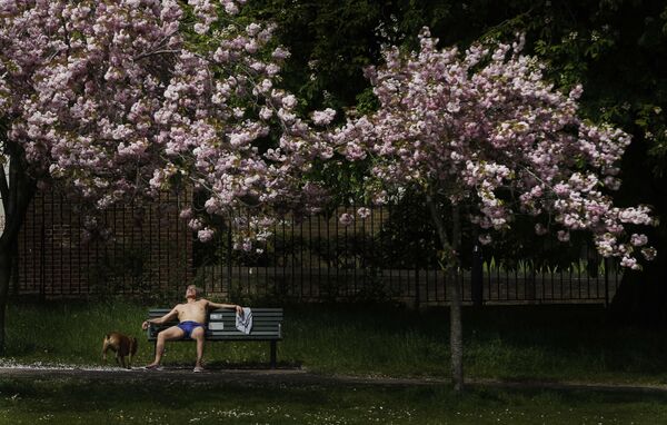 Um homem toma sol com seu cão num parque em Londres - Sputnik Brasil