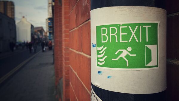 Sign supporting a British exit from the EU - Sputnik Brasil