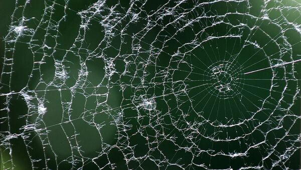 Teia de aranha em uma varanda em Bratislava, Eslováquia, maio de 2011 (foto de arquivo) - Sputnik Brasil