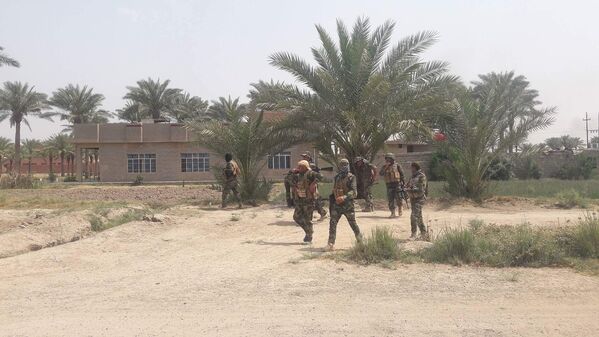 Forças governamentais do Iraque durante a operação de libertação de Fallujah - Sputnik Brasil