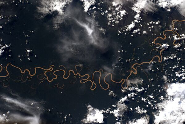 A bacia do rio Amazonas - Sputnik Brasil