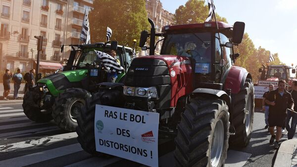 Produtores agrícolas franceses protestam contra a crise no setor agrícola, Paris, França, 2015 (foto de arquivo) - Sputnik Brasil