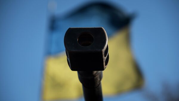 A Ukrainian flag is seen behind a canon near the village of Luhanske, eastern Ukraine - Sputnik Brasil