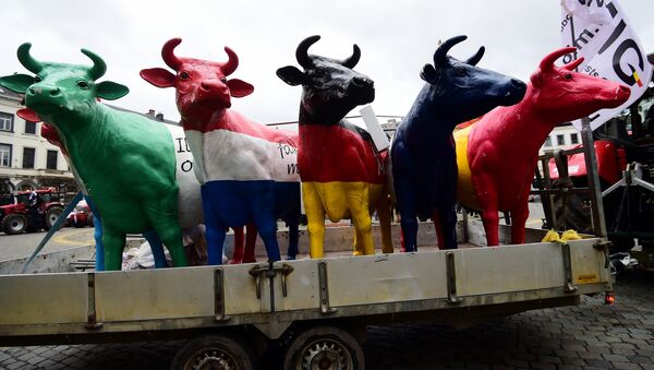 Fake cows brought by dairy farmers staging a demonstration stand in front of the European Parliament during a protest against the end of European milk quotas, in Brussels, March 31, 2015 - Sputnik Brasil
