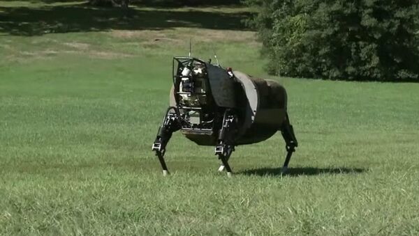 Robô-animal da Marinha dos EUA AlphaDog - Sputnik Brasil