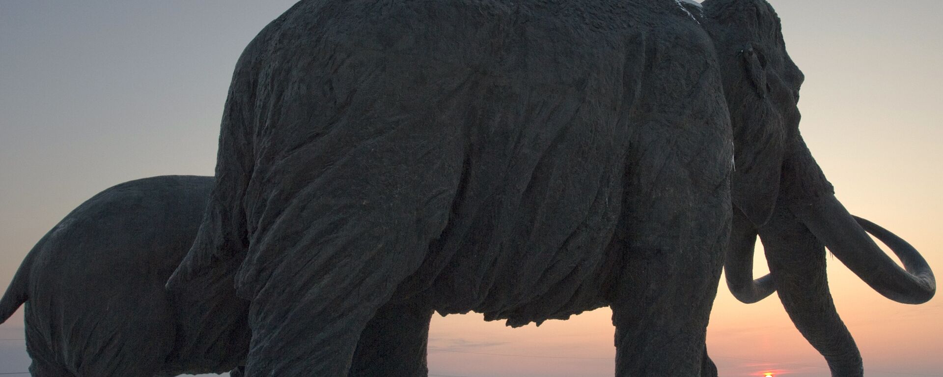 Monumento de mamute na Rússia (imagem referencial) - Sputnik Brasil, 1920, 20.02.2021
